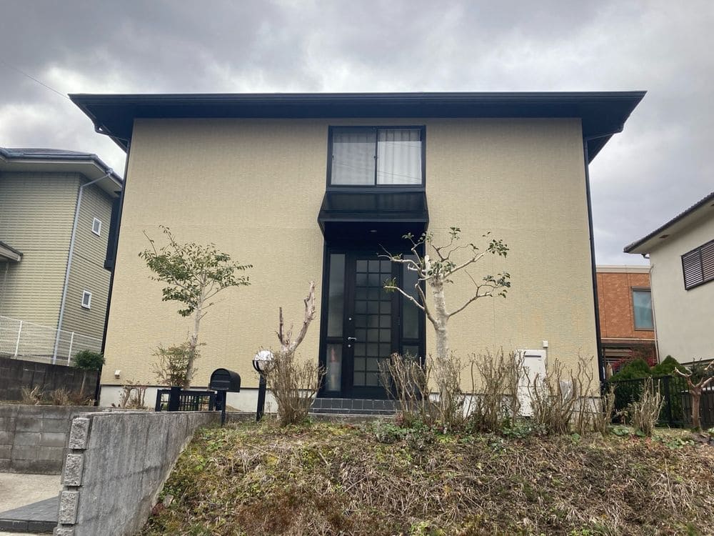 人気の色や最新トレンドについて